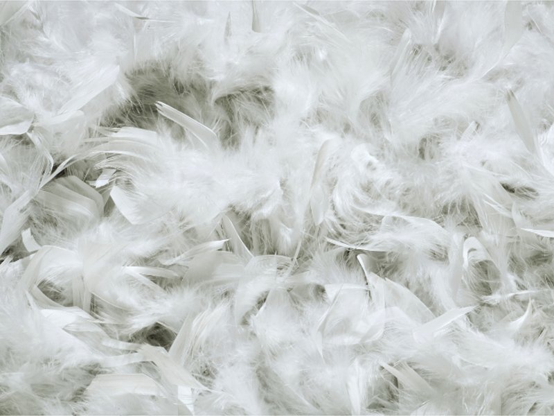 Banner_s_-_Down_Pass_gecertificeerd.original.original