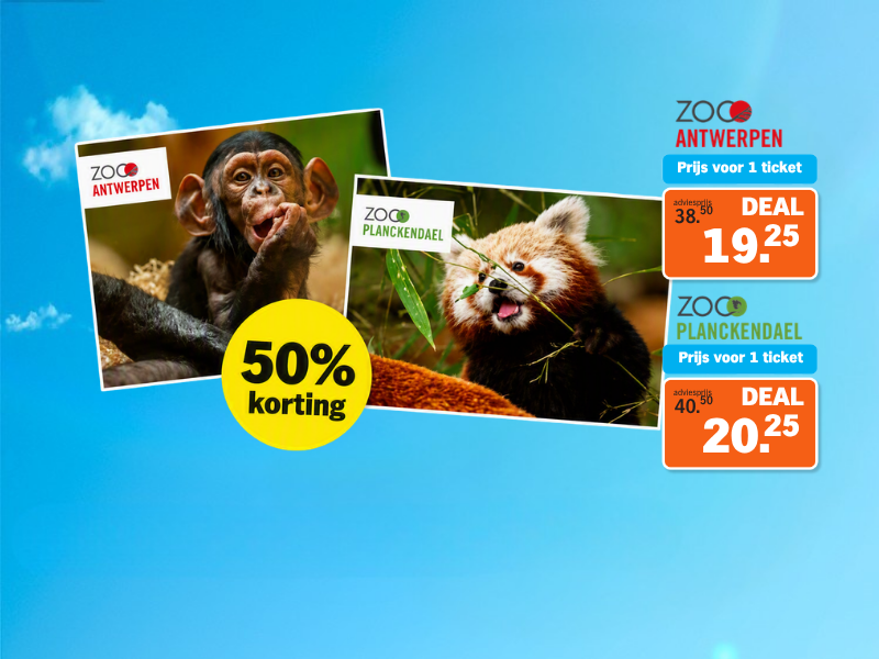HP Banners VDS (1)